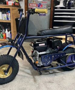 Volts Custom Minibike